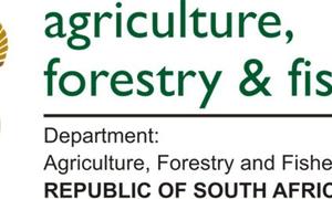 Small-Scale Fisheries Sector